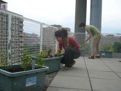 Jardinier en action / Gardeners in action